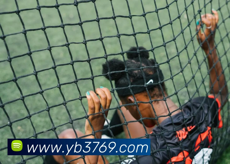 yabo体育平台官网入口服务体系